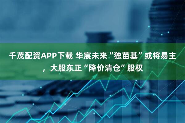 千茂配资APP下载 华宸未来“独苗基”或将易主，大股东正“降价清仓”股权