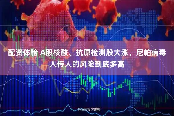 配资体验 A股核酸、抗原检测股大涨，尼帕病毒人传人的风险到底多高