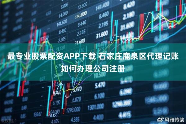最专业股票配资APP下载 石家庄鹿泉区代理记账如何办理公司注册